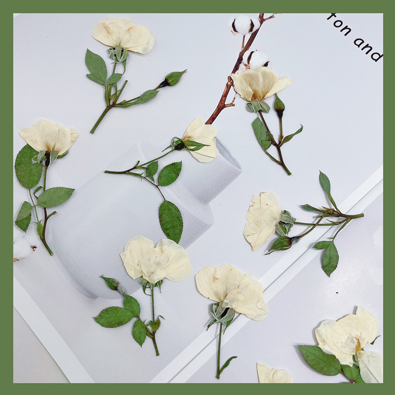 12pcs, Nature White Pink Red R - đánh giá và giá Wedding Card Box
